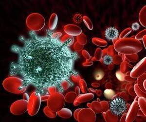 Ученые установили длительность иммунитета у переболевших Covid-19