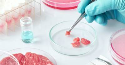 На создание института по изучению искусственного мяса выделили $10 млн