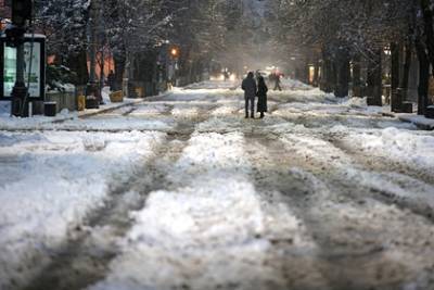 Москвичей предупредили о мокром снеге