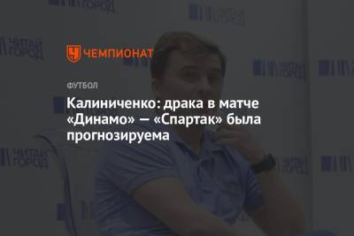 Калиниченко: драка в матче «Динамо» — «Спартак» была прогнозируема