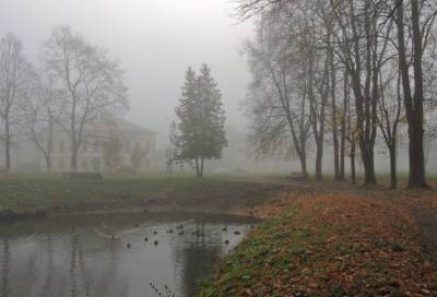 Фотограф из Ленобласти показала туманные улицы Кингисеппа