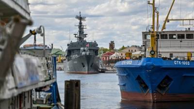 Читатели Spiegel предложили России отыграться за провокации ВМС США у Владивостока