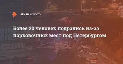 Более 20 человек подрались из-за парковочных мест под Петербургом