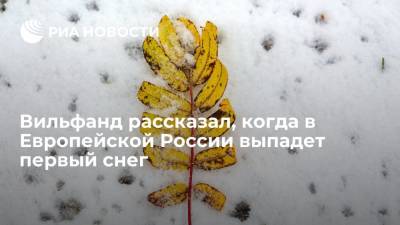 Руководитель Гидрометцентра Вильфанд: в Европейской России первый снег выпадет во вторник
