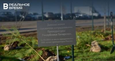 В Куюках у нового лицея «Алгоритм» высадили деревья в честь 300-летия прокуратуры России