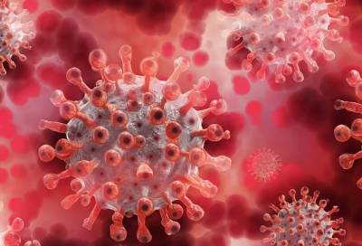 Плазма переболевших COVID-19 может помогать в лечении больных коронавирусом
