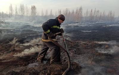 Вильфанд: ситуация с горением торфяников под Екатеринбургом будет оставаться сложной