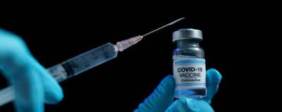 В Госдуме более 90% депутатов поставили прививку или переболели COVID-19