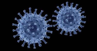 У жителя Мексики выявили одновременно сразу два штамма коронавируса и мира