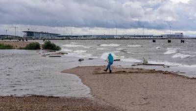 Уходящий циклон оставит в Петербурге порывистый ветер и дожди