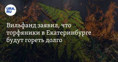 Вильфанд заявил, что торфяники в Екатеринбурге будут гореть долго