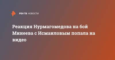 Хабиб Нурмагомедов - Магомед Исмаилов - Владимир Минеев - Реакция Нурмагомедова на бой Минеева с Исмаиловым попала на видео - ren.tv - Россия - Сочи