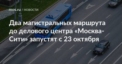 Два магистральных маршрута до делового центра «Москва-Сити» запустят с 23 октября - mos.ru - Москва - Россия