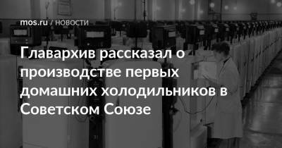 Главархив рассказал о производстве первых домашних холодильников в Советском Союзе - mos.ru - Москва