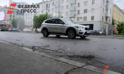 В России предложили изменить ПДД и добавить новые дорожные знаки