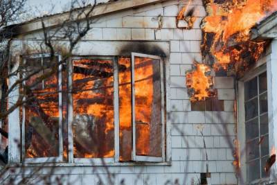 На пожарах в Новгородской области погибли два человека, удалось спасти пятилетнего ребенка