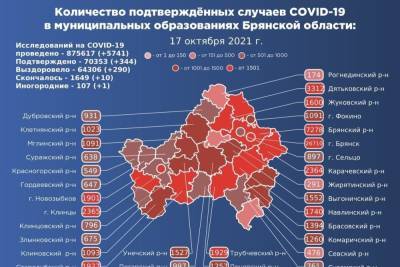 В Брянской области подтвердился коронавирус у 344 человек