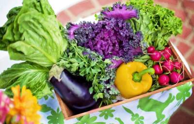 С начала года в Башкирии инфляция в продовольственном секторе в сентябре составила 9,6%