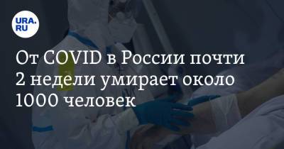 От COVID в России почти 2 недели умирает около 1000 человек