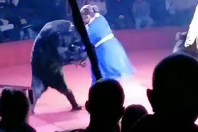 В Орловском цирке медведь напал на беременную ассистентку дрессировщика