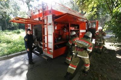 В Мелекесском районе семь часов тушили лесной пожар