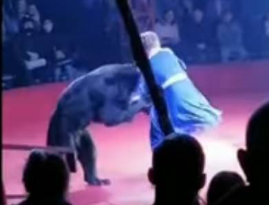 Во время представления медведь напал на беременную дрессировщицу