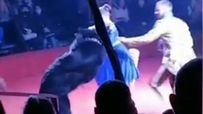 В орловском цирке назвали версию нападения медведя на дрессировщицу