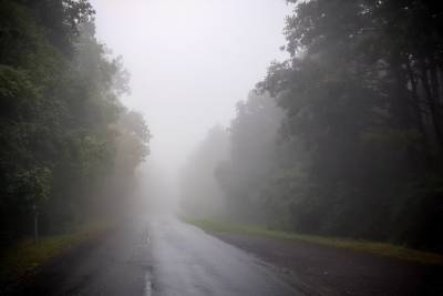 Пензенскую область окутает густой туман