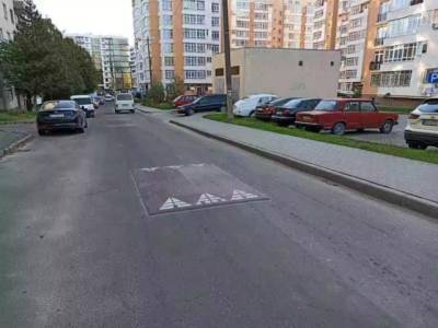 В Украине водителей заставят ездить медленнее — начата установка новых ограничетелей