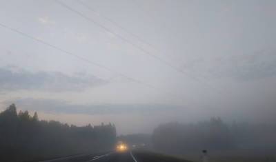 МЧС Башкирии сообщает о густом тумане на дорогах