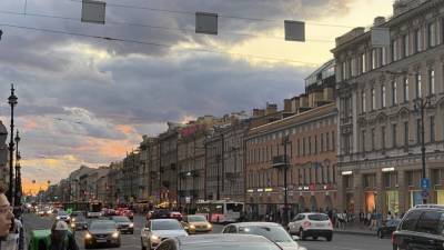 Социолог Шугалей назвал бутафорским Год экологии в Петербурге