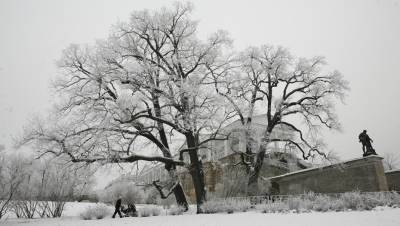 Екатерининский парк в Царском Селе на зиму сделают бесплатным