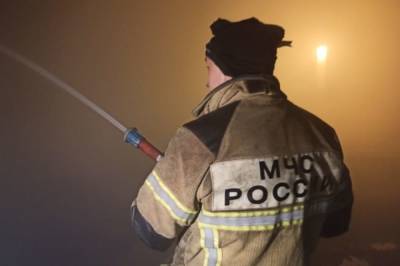 В Екатеринбурге потушили 10 очагов пожара на торфяниках