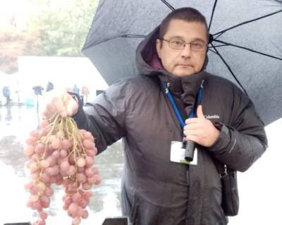 Про «бомбические» сорта смоленского винограда и перспективы развития отрасли в России