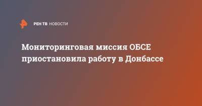 Мониторинговая миссия ОБСЕ приостановила работу в Донбассе