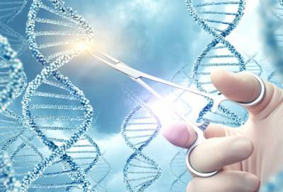 Заплатка на ДНК: генетическая революция против этических барьеров