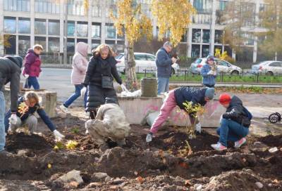 Жители Петербурга высадили 80 кустов шиповника у здания правительства