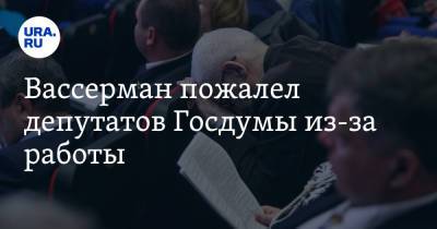 Вассерман пожалел депутатов Госдумы из-за работы