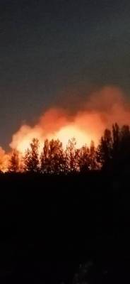 На правом берегу Дона в черте Ростова разгорелся ландшафтный пожар