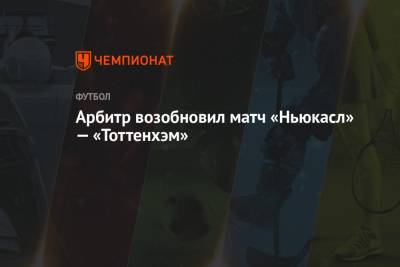 Арбитр возобновил матч «Ньюкасл» — «Тоттенхэм»