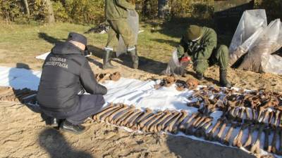 В Беларуси нашли братскую могилу 1400 убитых нацистами евреев
