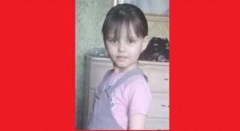 9-летняя девочка бесследно исчезла в Вологде, ушла гулять и пропала