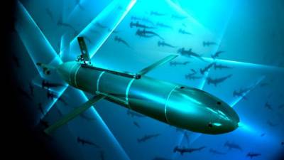 В ВМФ России появятся подводные дронов для охоты на диверсансантов
