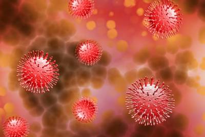 Более 73 тысяч человек заразились коронавирусом с начала пандемии в Забайкалье