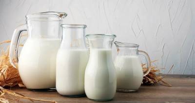 Производство молока к 2030 году вырастет до 1,1 млрд тонн — IFCN