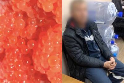 Новосибирец украл килограмм красной икры в аэропорту Толмачёво