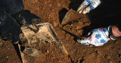 Археолог рассказал о найденных в Москве берестяных грамотах