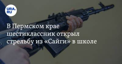 В Пермском крае шестиклассник открыл стрельбу из «Сайги» в школе