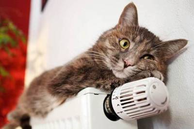 Жителям 60 ивановских домов отключат отопление