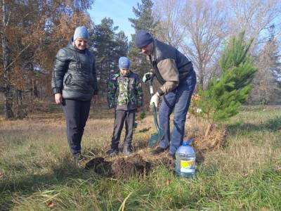 Более 30 новосибирцев посадили своё дерево в сквере «Зелёный остров»
